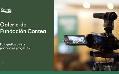 Galería de Fundación Contea